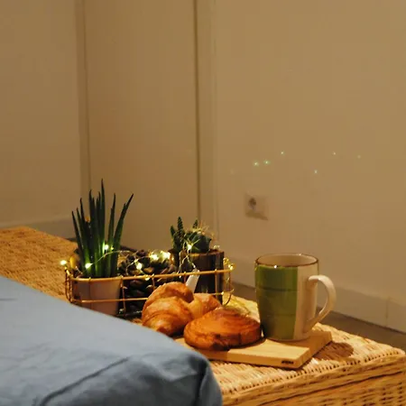 Appio Claudio Con Corte Esclusiva I Metro A *